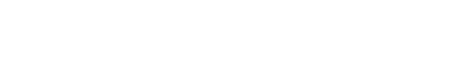 IO.Net